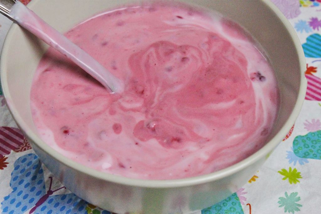 joghurt selber machen, diy joghurt, joghurt rezepte, frühstücksideen, gesunde frühstücksideen