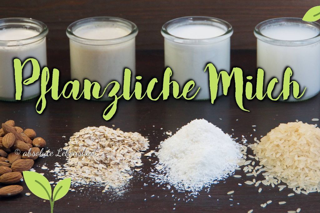 Pflanzliche Milch selber machen [vegan] – Hafermilch, Reismilch, Kokosmilch & Mandelmilch
