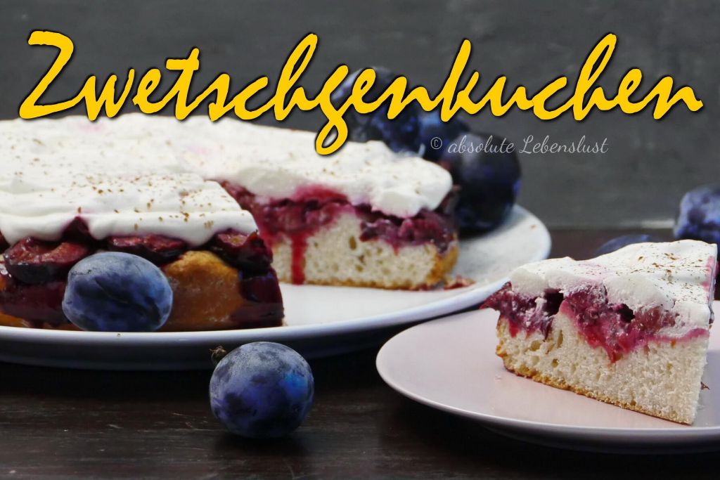 Zwetschgenkuchen mit Quark Öl Teig | Pflaumenkuchen backen