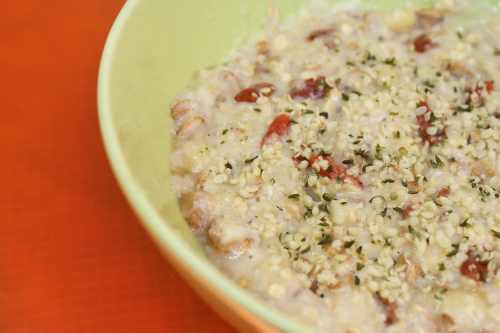 rezepte mit hanfsamen, hanfsamen rezepte, gojibeeren rezepte, porridge rezepte, haferbrei rezept, oatmeal rezept, frühstücksrezepte