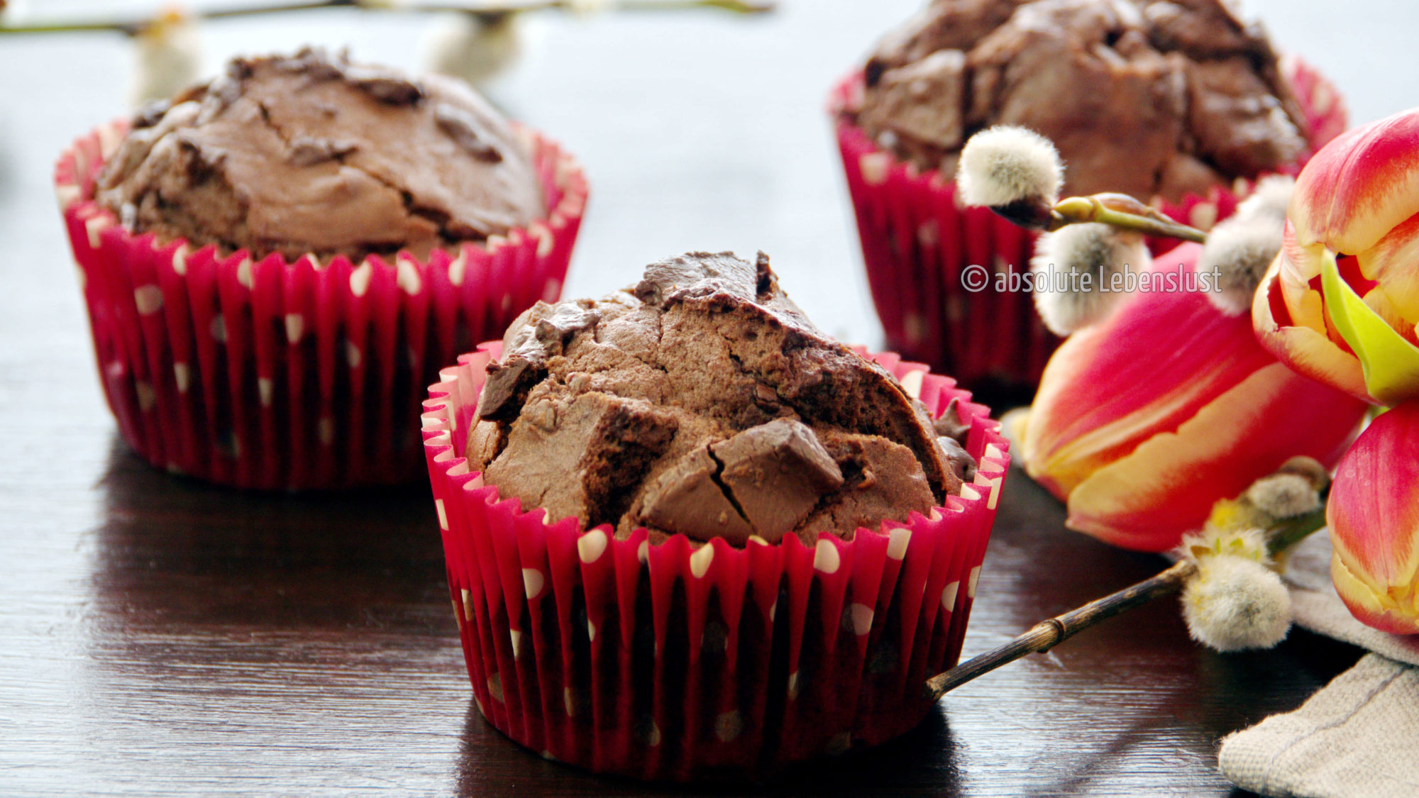 Schoko Muffins Rezept | saftige &amp; super schokoladige Muffins backen ...